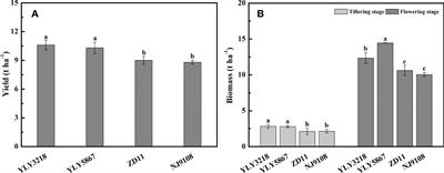 Identification of photosynthetic parameters for superior yield of two super hybrid rice varieties: A cross-scale study from leaf to canopy